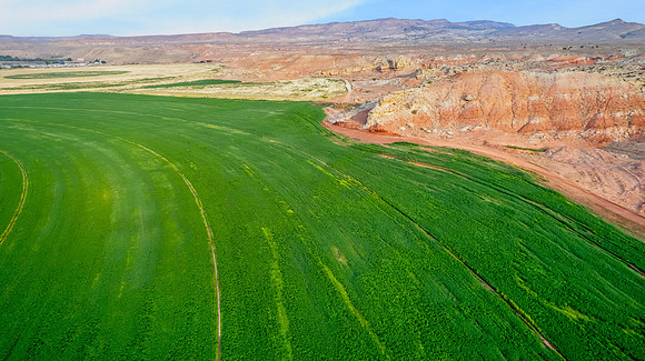DJI_0449