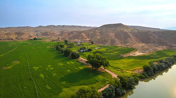 DJI_0461