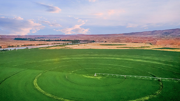 DJI_0398