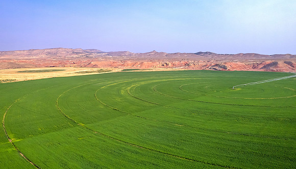 DJI_0482 (2)