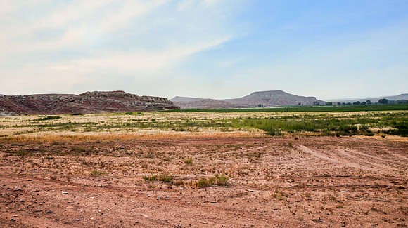 DSC_6338 (2)