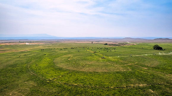 DJI_0523