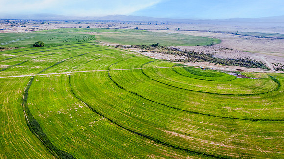 DJI_0534
