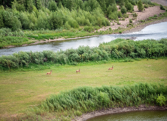 DSC_0953