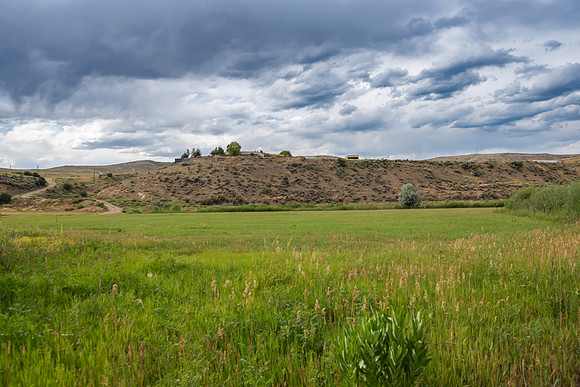 DSC_6259