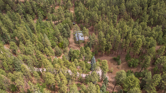 DJI_0779