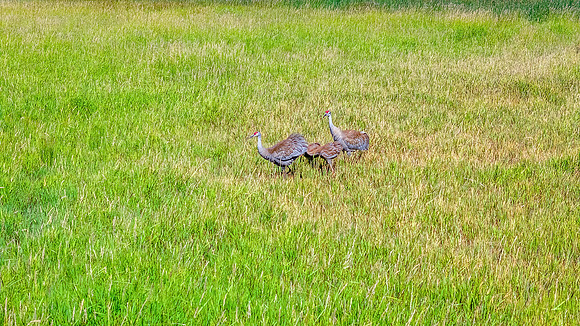 RIGBY_DRONE0063