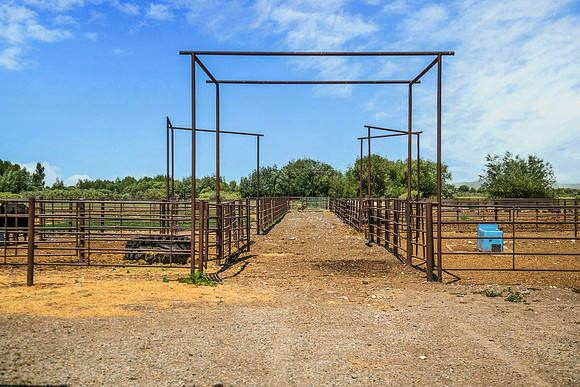RIGBY_GROUND0066