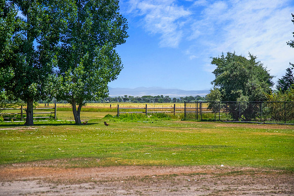RIGBY_GROUND0074