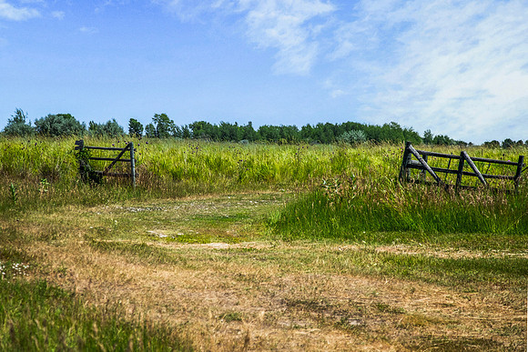 RIGBY_GROUND0086