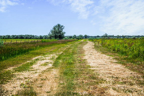 RIGBY_GROUND0085