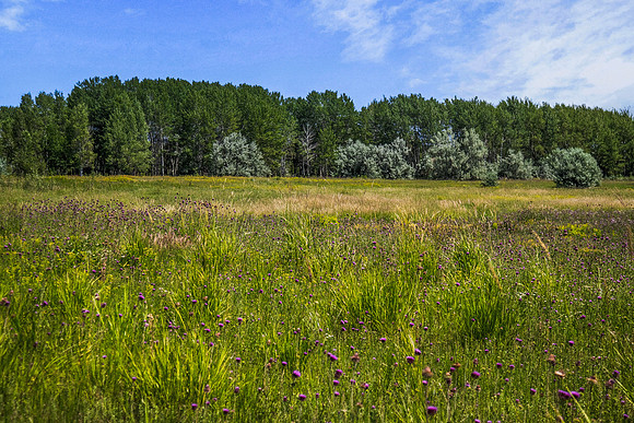 RIGBY_GROUND0092