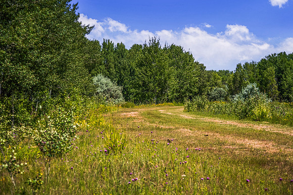RIGBY_GROUND0093