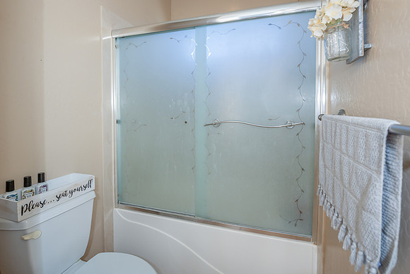guest bathroom`
