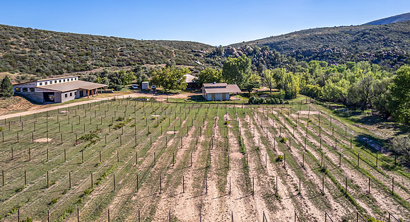 DJI_0152