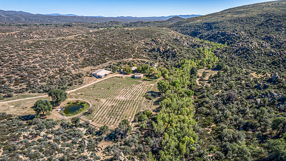 DJI_0156