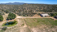 DJI_0154