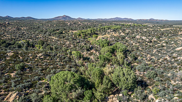 DJI_0157