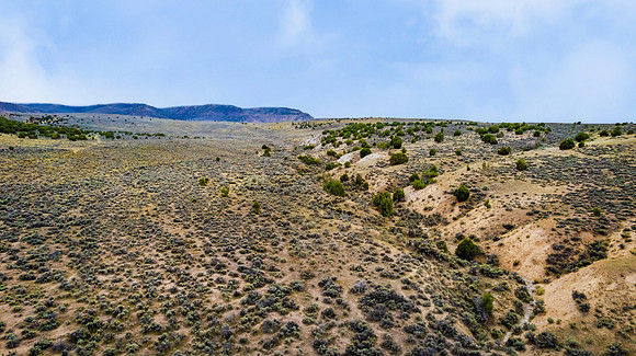 DJI_0976