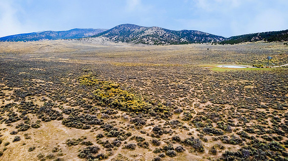 DJI_0977