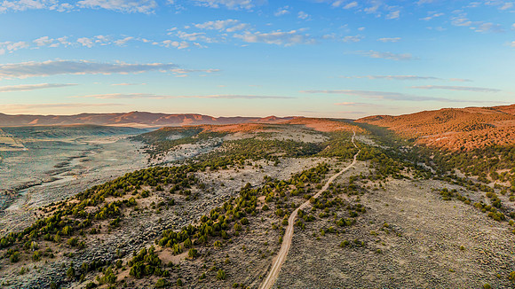 DJI_20251007072545_0042_D