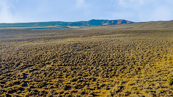 DJI_20251007081420_0070_D