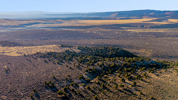 DJI_20251007081744_0077_D