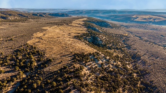 DJI_20251007081856_0078_D