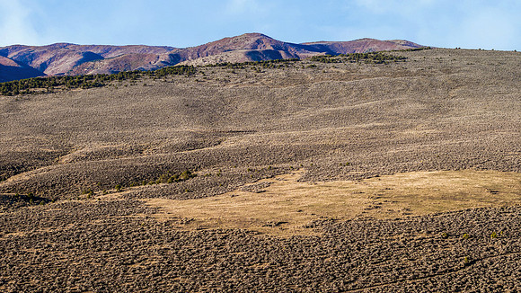 DJI_20251007082028_0081_D