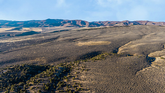 DJI_20251007082429_0091_D