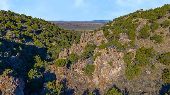 DJI_20251007092431_0110_D