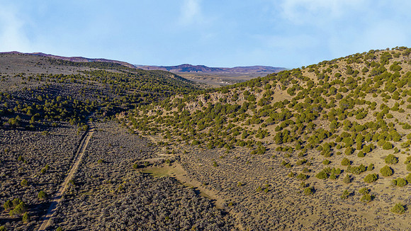 DJI_20251007091902_0105_D