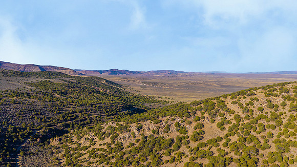 DJI_20251007092635_0116_D