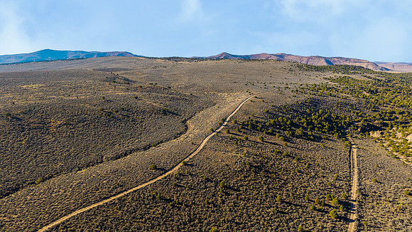 DJI_20251007092709_0119_D