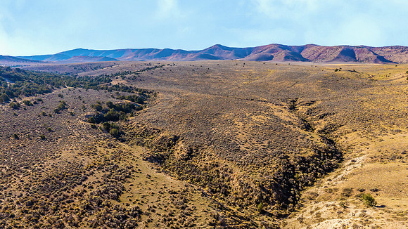 DJI_20251007095320_0125_D