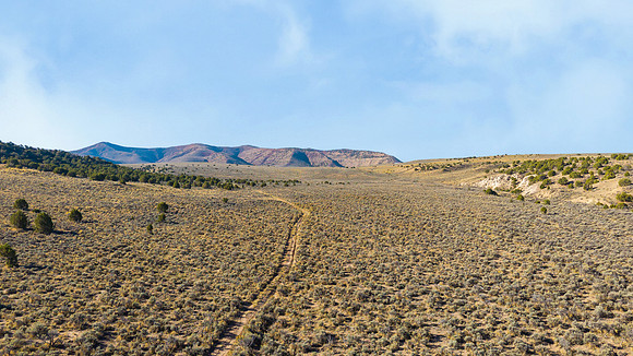 DJI_20251007095218_0123_D