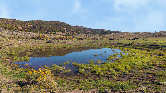 DJI_20251007092824_0122_D