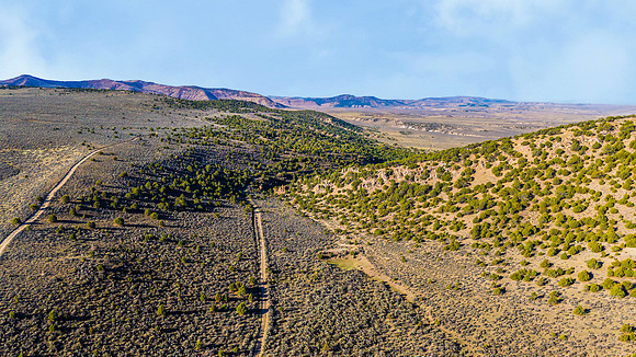 DJI_20251007092714_0120_D