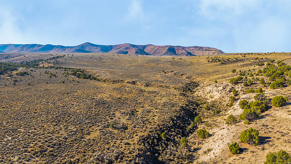DJI_20251007095301_0124_D