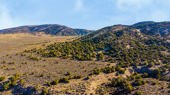 DJI_20251007095526_0129_D