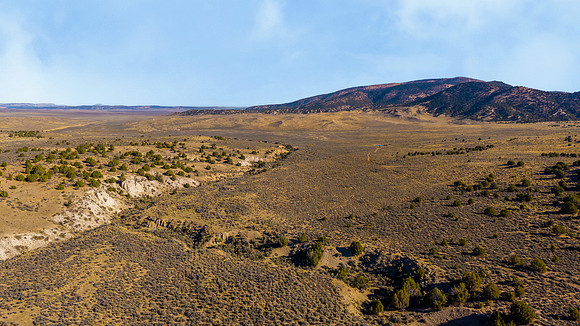 DJI_20251007095449_0127_D