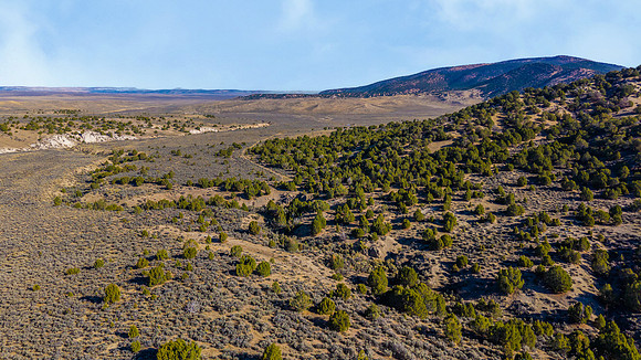 DJI_20251007095555_0130_D