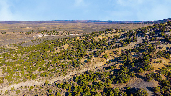 DJI_20251007095711_0132_D