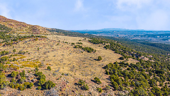 DJI_20251007102940_0146_D