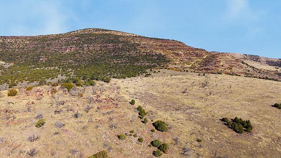 DJI_20251007103001_0147_D_1