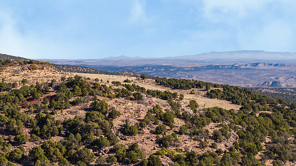 DJI_20251007102858_0144_D_1