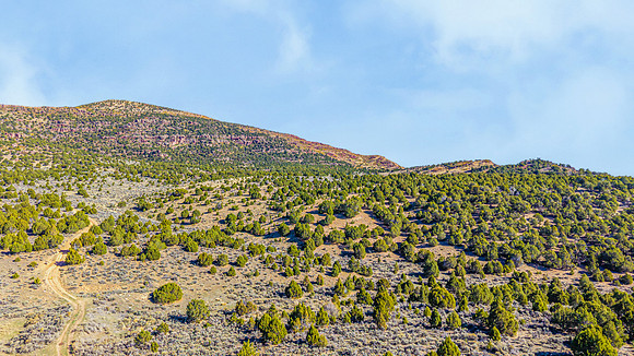DJI_20251007102733_0143_D
