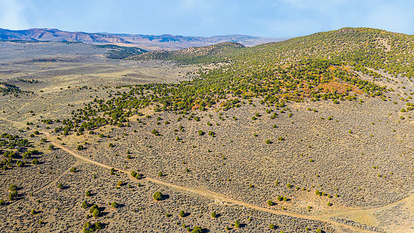 DJI_20251007103355_0160_D