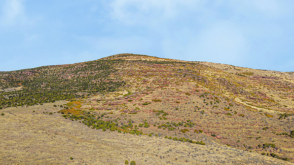 DJI_20251007103112_0151_D