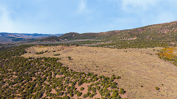 DJI_20251007103109_0150_D